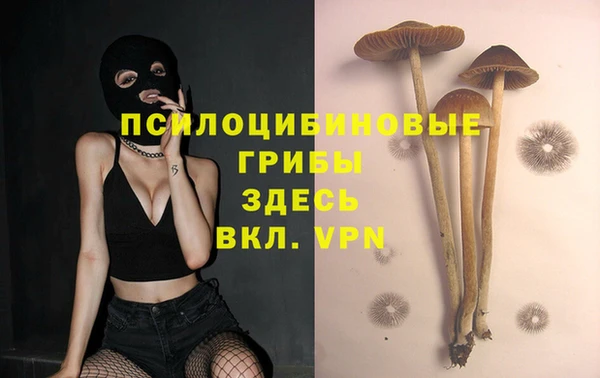 герыч Арсеньев