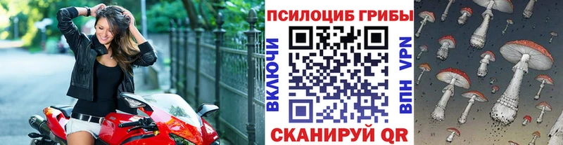 omg рабочий сайт  Приволжск  Галлюциногенные грибы Psilocybe 